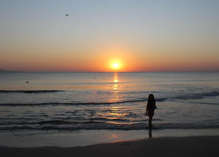 Apartament Parus 4 *