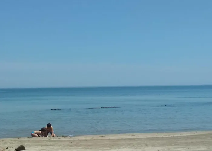 Parus 4 Apartament Gmina Pomorie